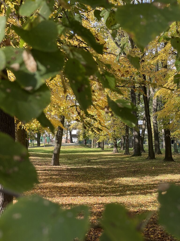 Autumn WeatherA new season begins